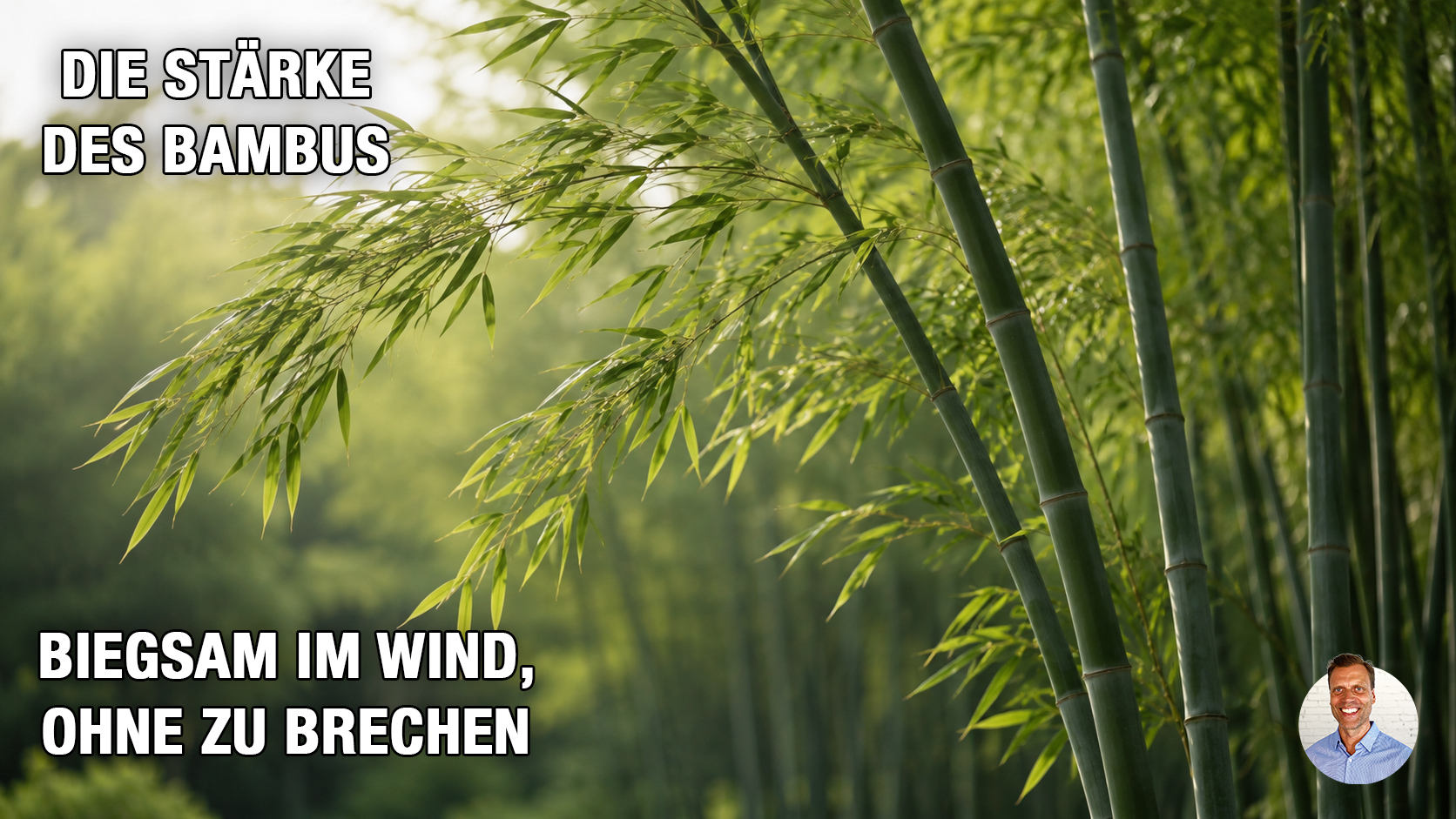 Resilienz wie Bambus – biegsam im Wind, ohne zu brechen Resilienz wie Bambus – biegsam im Wind, ohne zu brechen