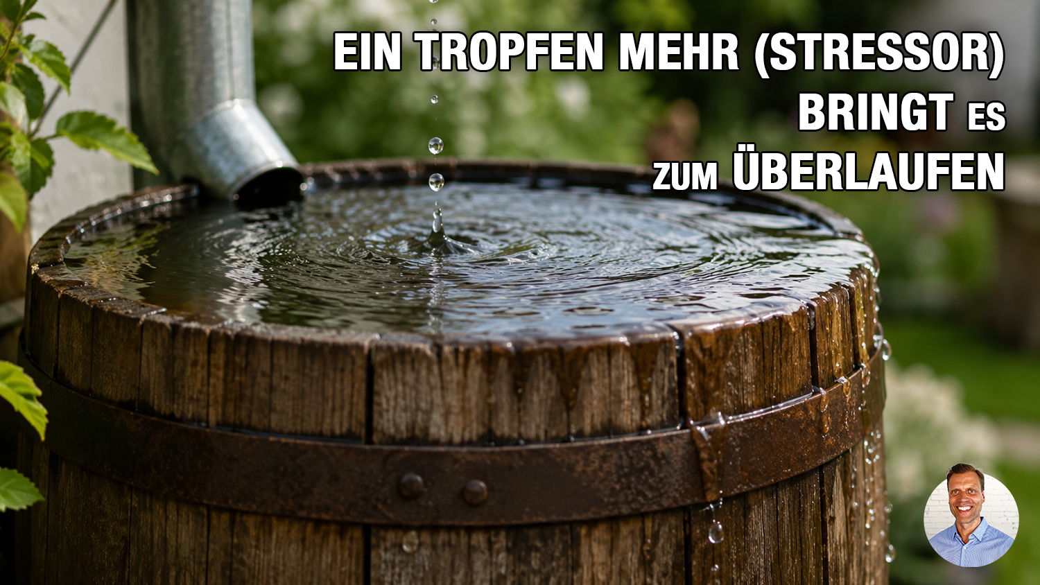Stressoren wie ein volles Regenfass – ein Tropfen bringt es zum Überlaufen Stressoren wie ein volles Regenfass – ein Tropfen bringt es zum Überlaufen